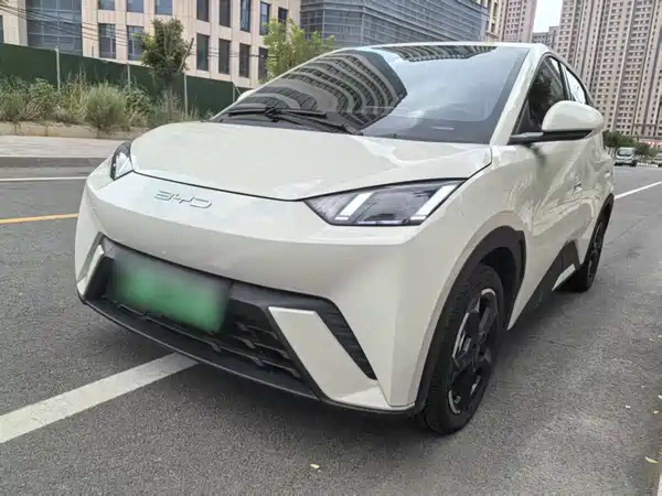 BYD Seagull 2024