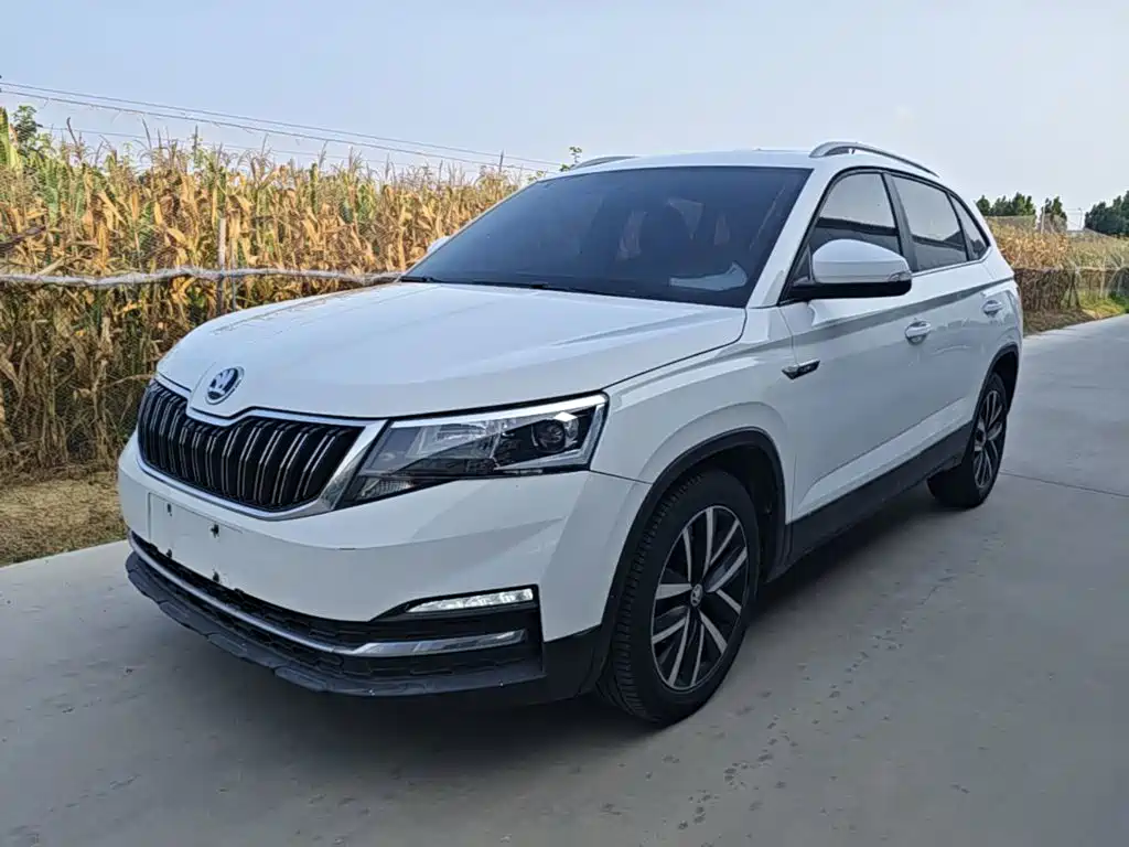 Skoda Kamiq 2018 — фото 1