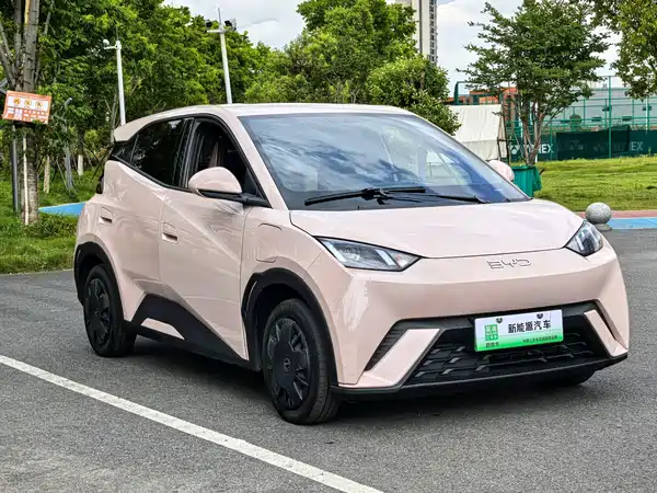 BYD Seagull 2024