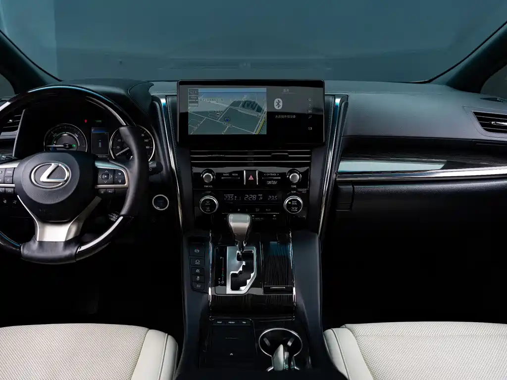Lexus LM 2020 — фото 12