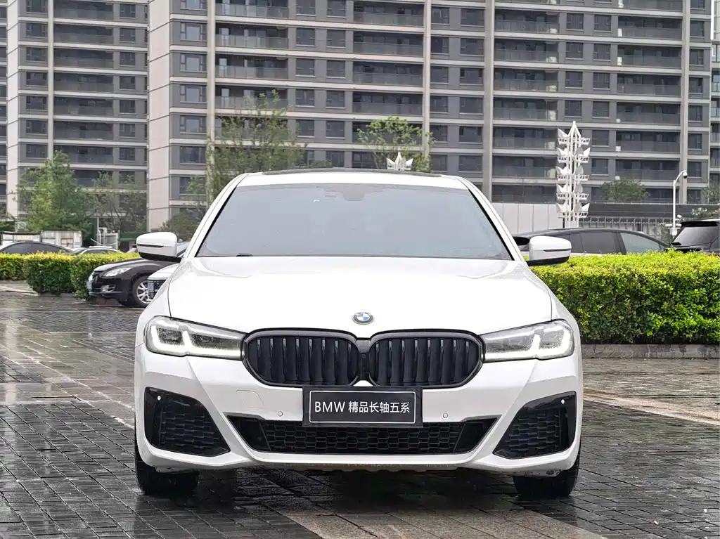 BMW 5 Series 2019