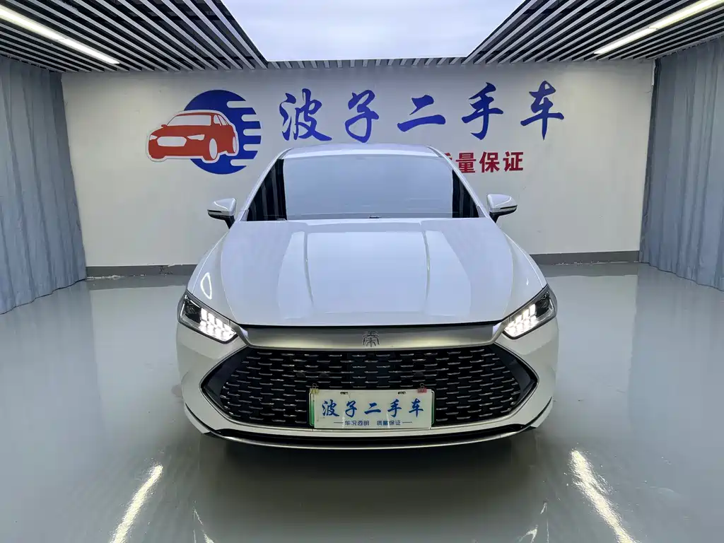 BYD Qin PLUS 2024 — фото 2