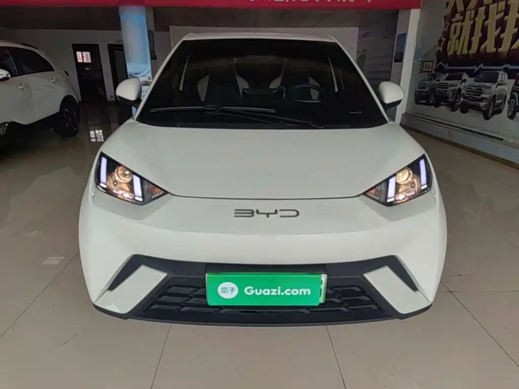 BYD Seagull 2024