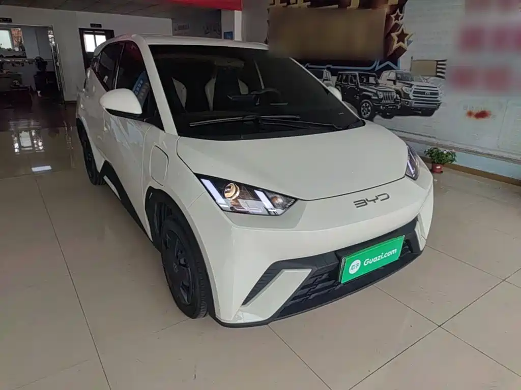 BYD Seagull 2024