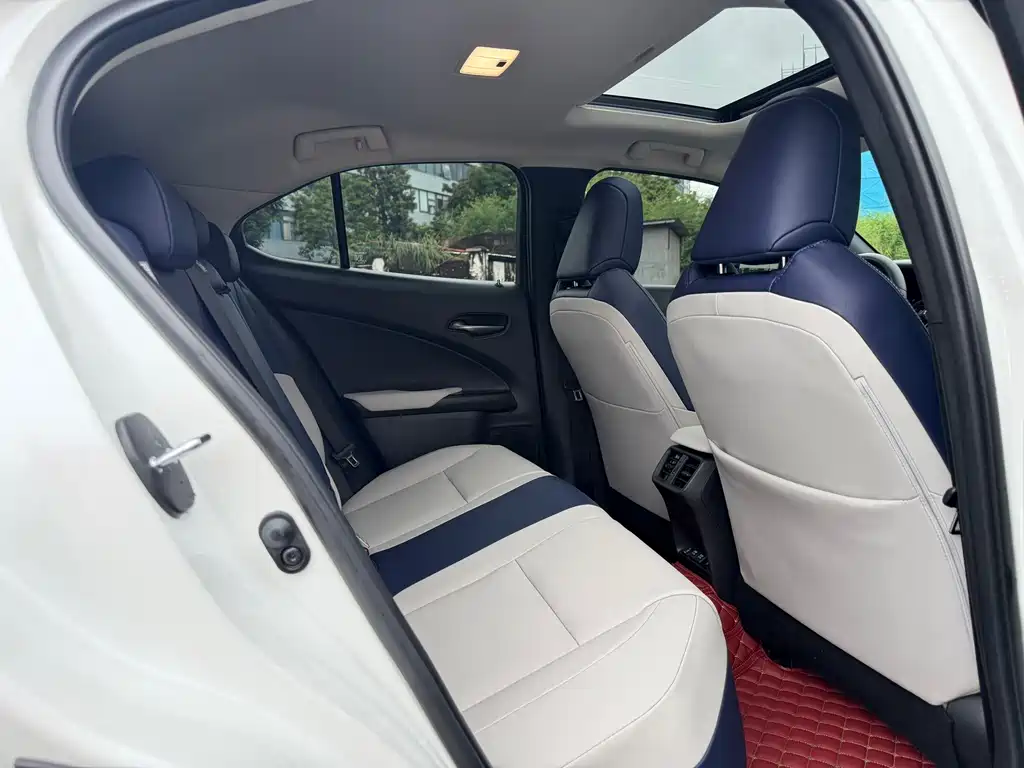 Lexus UX New Energy 2020 — фото 9
