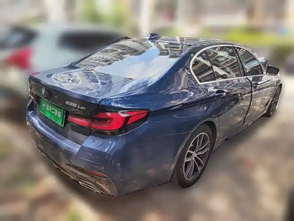BMW 5 Series New Energy 2021