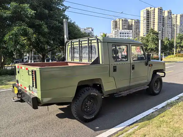 BAW Warrior Pickup 2018