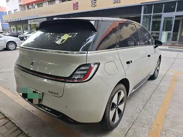 Baojun Yunduo 2024