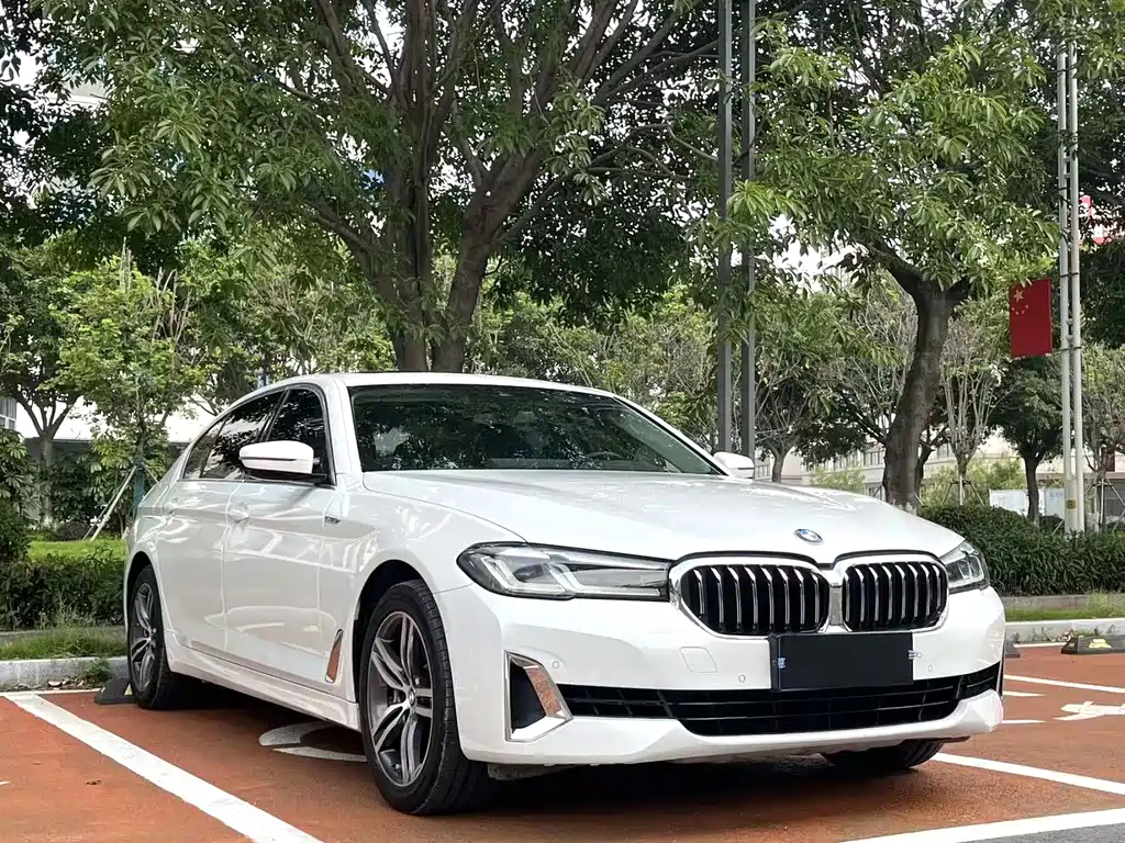 BMW 5 Series 2021