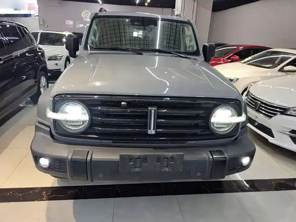 Tank 300 2021