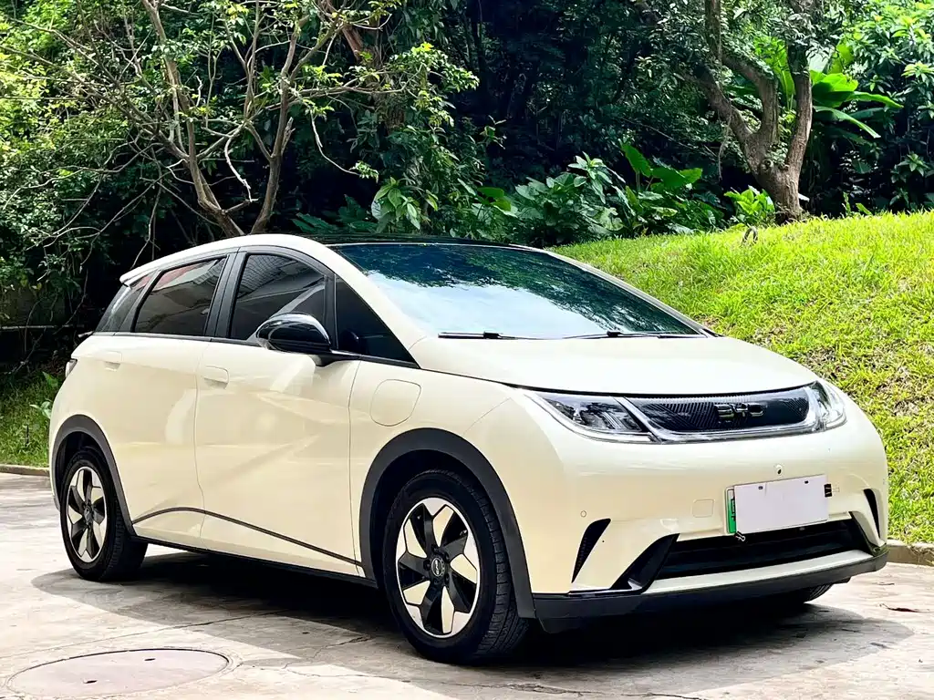 BYD Dolphin 2024