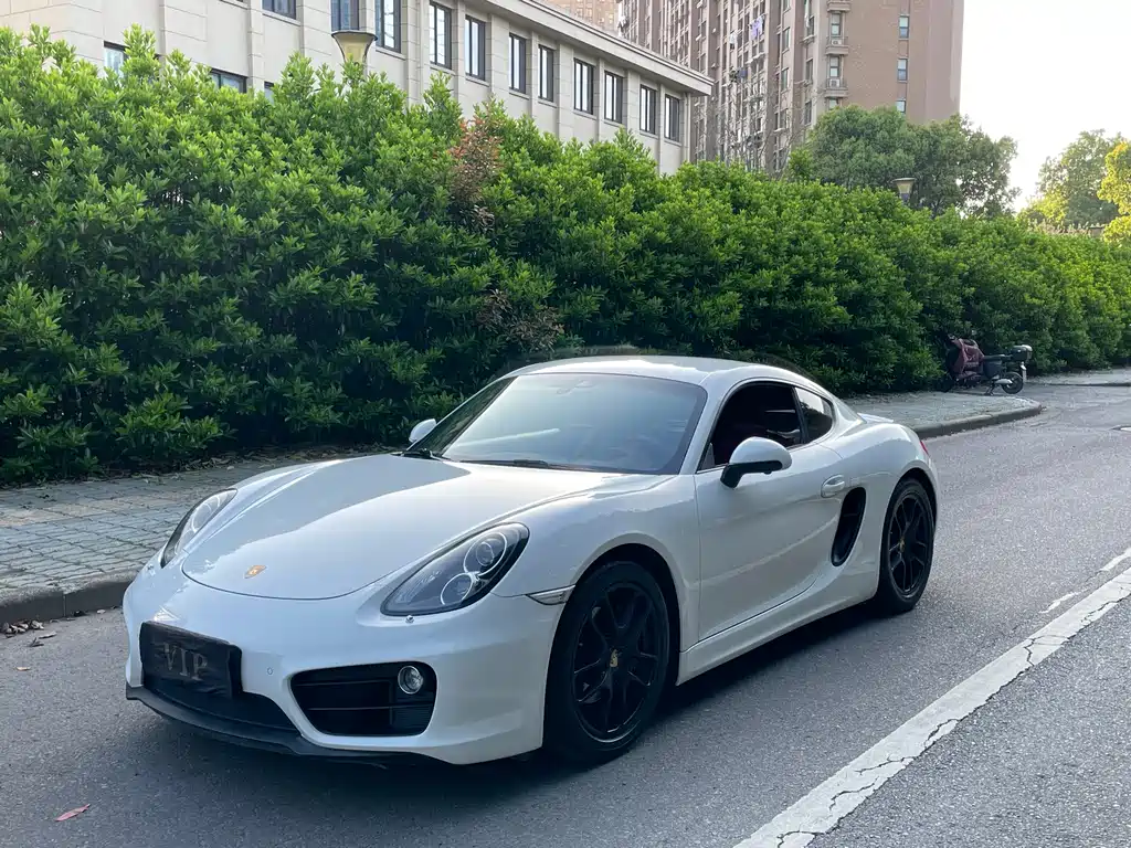 Porsche Cayman 2015 — фото 23