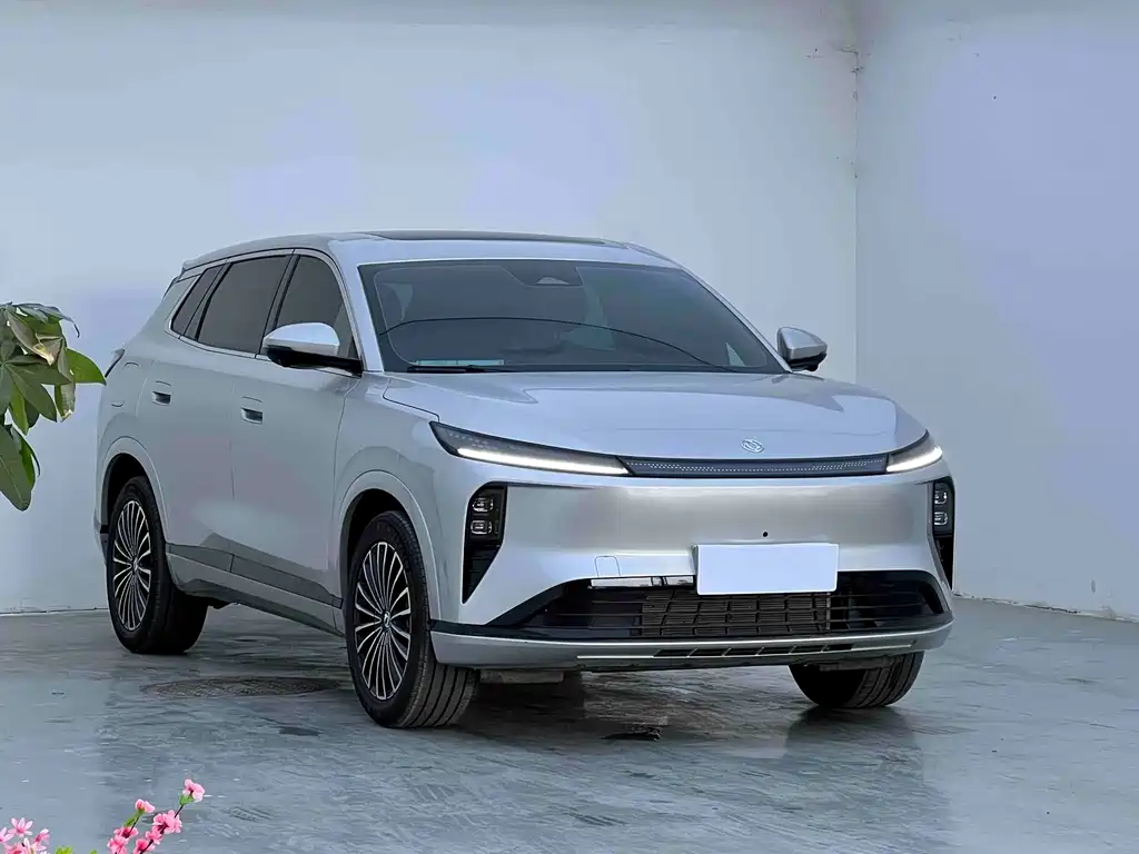 Dongfeng Fengshen L8 2025 — фото 3
