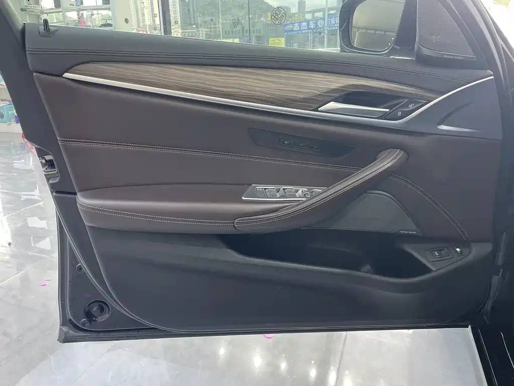 BMW 5 Series New Energy 2019