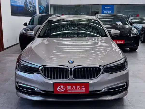 BMW 5 Series New Energy 2019