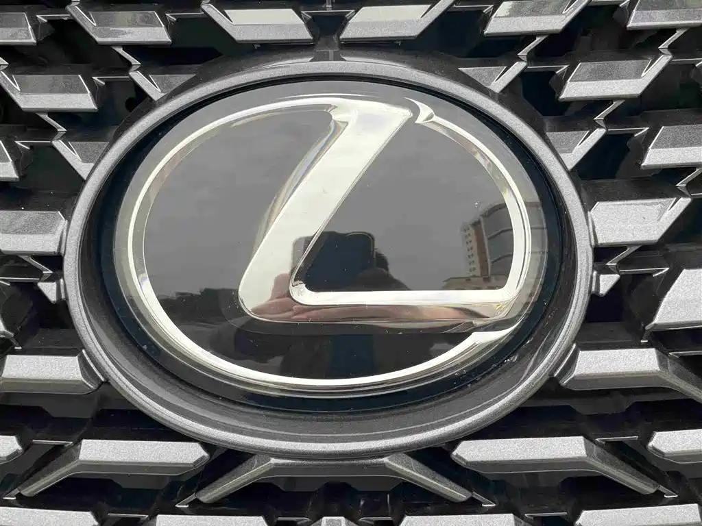 Lexus RX 2021 — фото 26