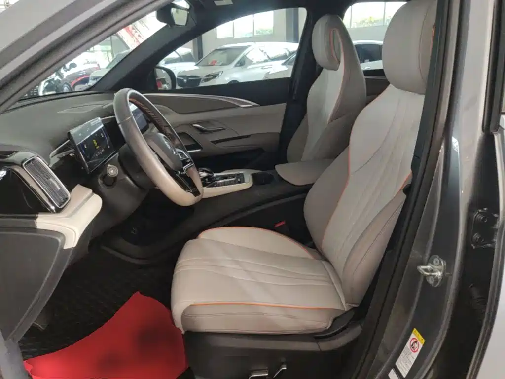 BYD Song Pro New Energy 2025 — фото 15