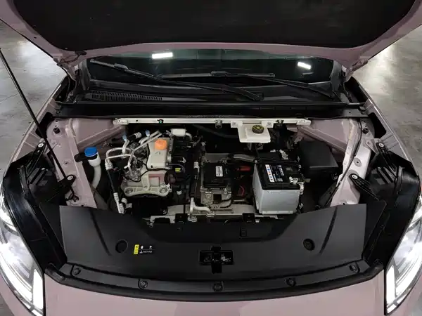 Aion RT 2024
