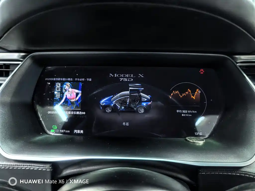 Tesla Model X 2018 — фото 13
