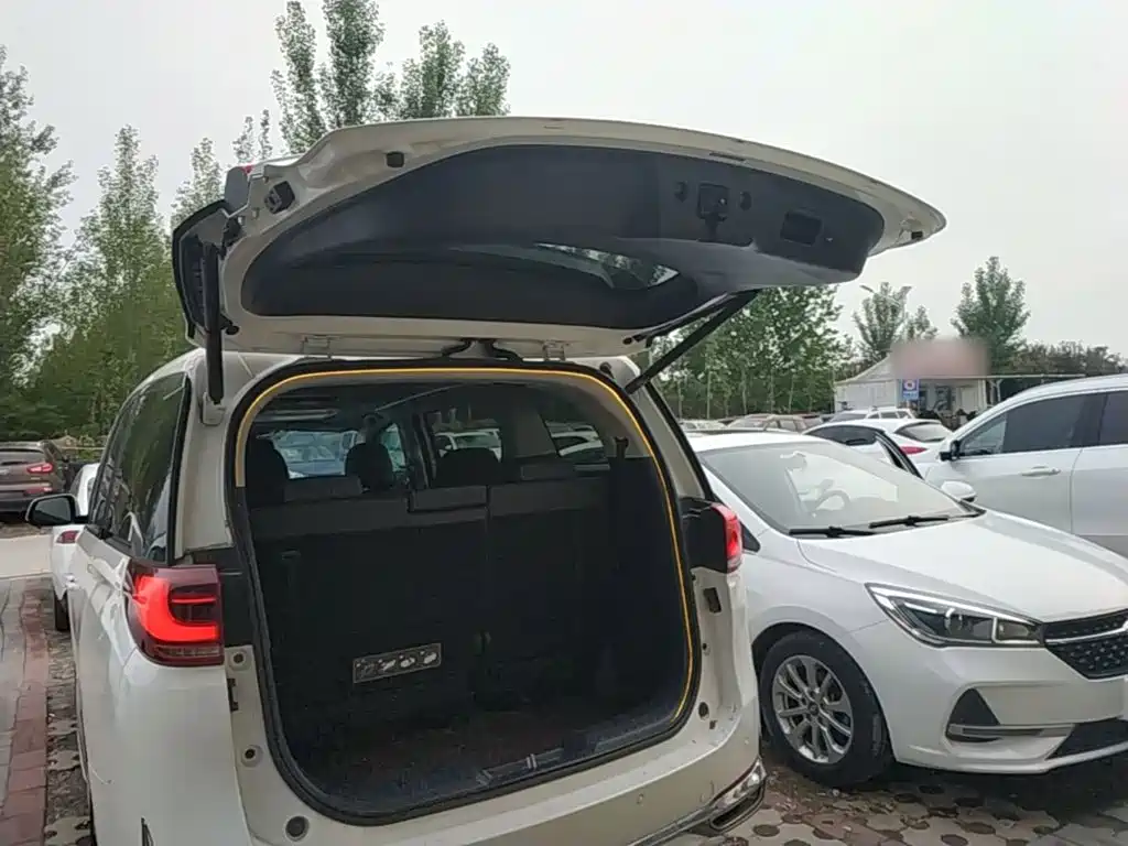 GAC Trumpchi M8 2021 — фото 15