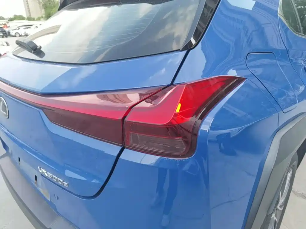 Lexus UX New Energy 2020 — фото 8