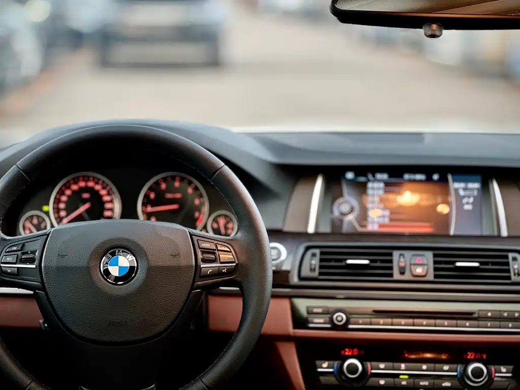 BMW 5 Series 2015 — фото 12