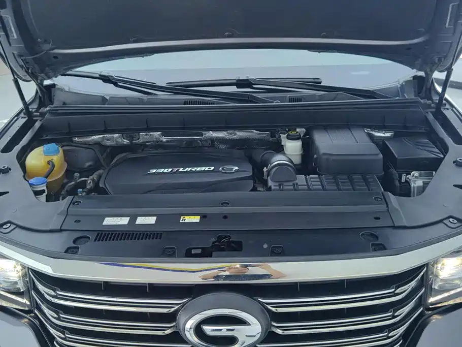 GAC Trumpchi GS8 2020 — фото 10