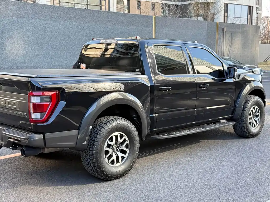 Ford F-150 Raptor 2024 — фото 25