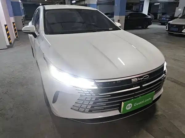 BYD Destroyer 05 2024