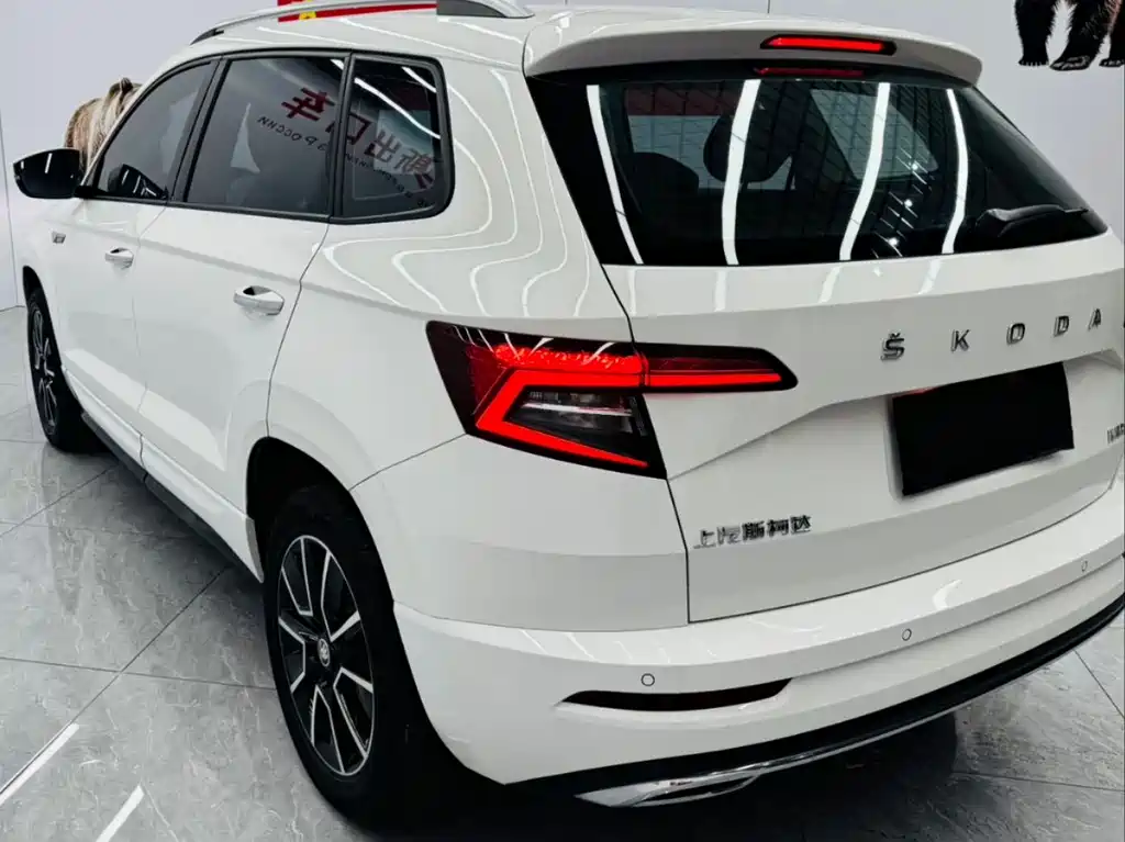 Skoda Karoq 2023 — фото 13