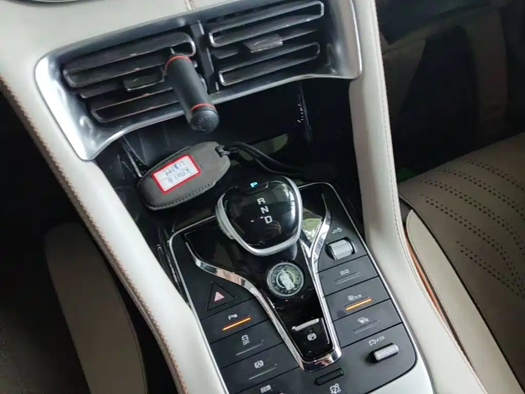 BYD Song PLUS New Energy 2023 — фото 10