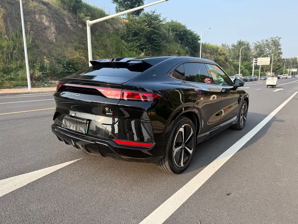 BYD L EV 2025
