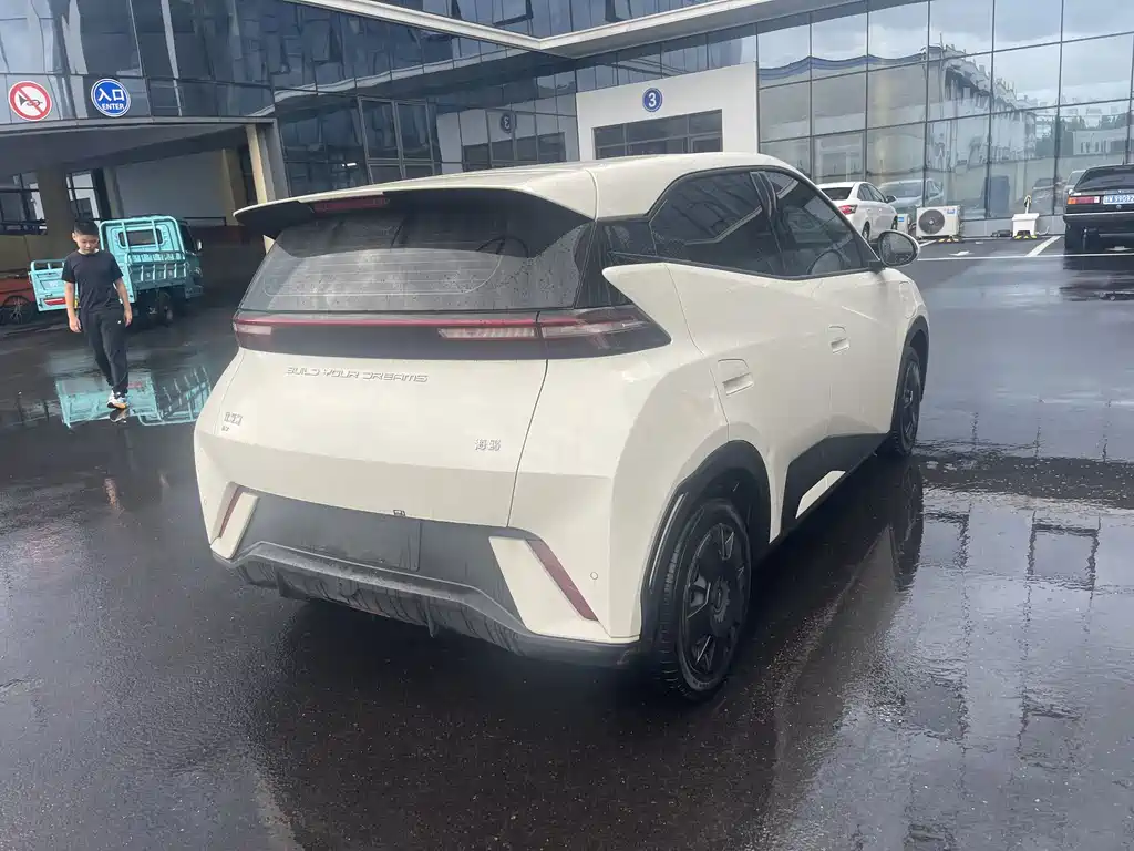 BYD Seagull 2024