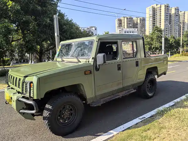 BAW Warrior Pickup 2018