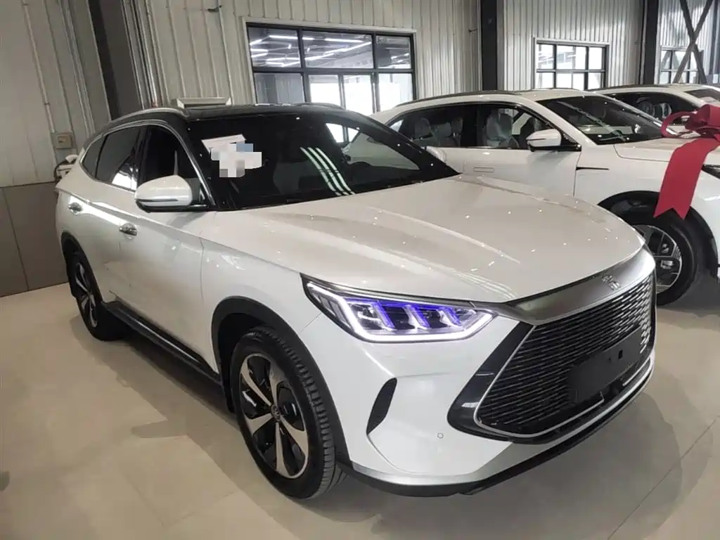 BYD PLUS New Energy 2022 — фото 4