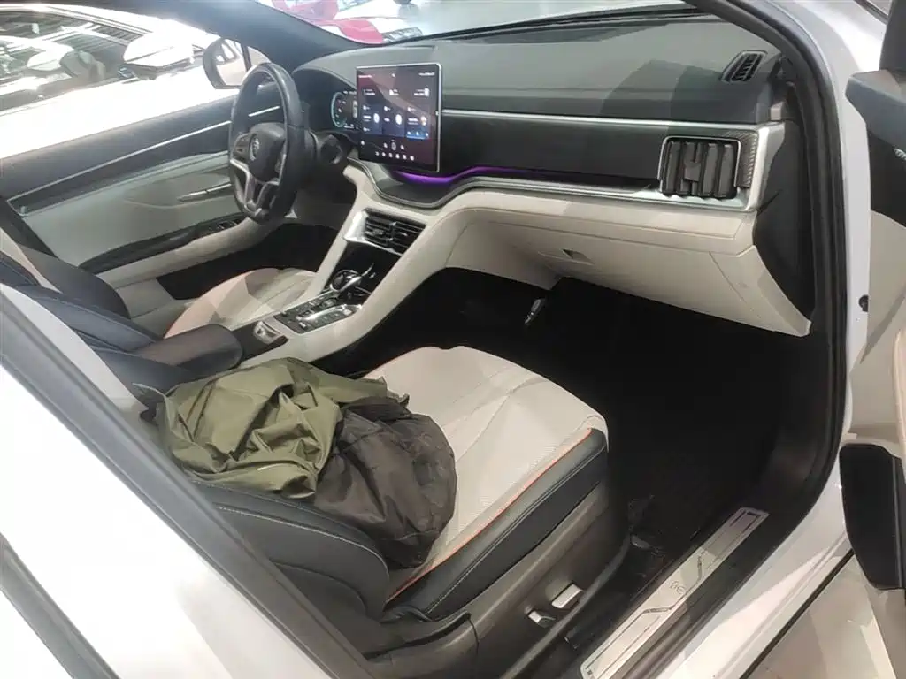 BYD PLUS New Energy 2022 — фото 25
