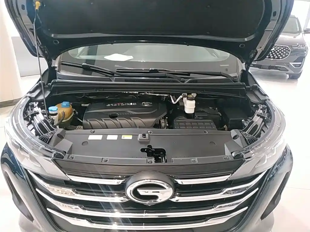 GAC Motor Trumpchi M6 2020 — фото 20