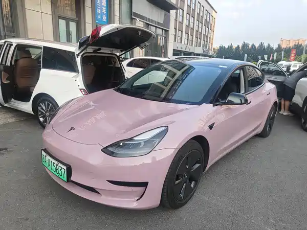 Tesla Model 3 2021