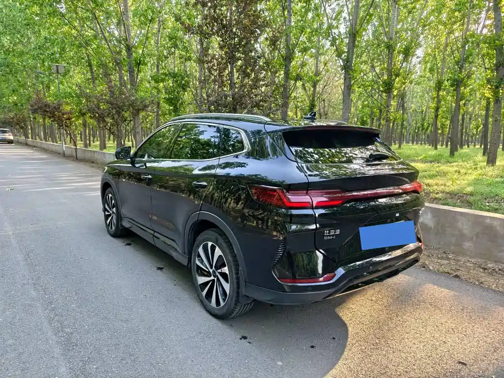 BYD PLUS New Energy 2024 — фото 4
