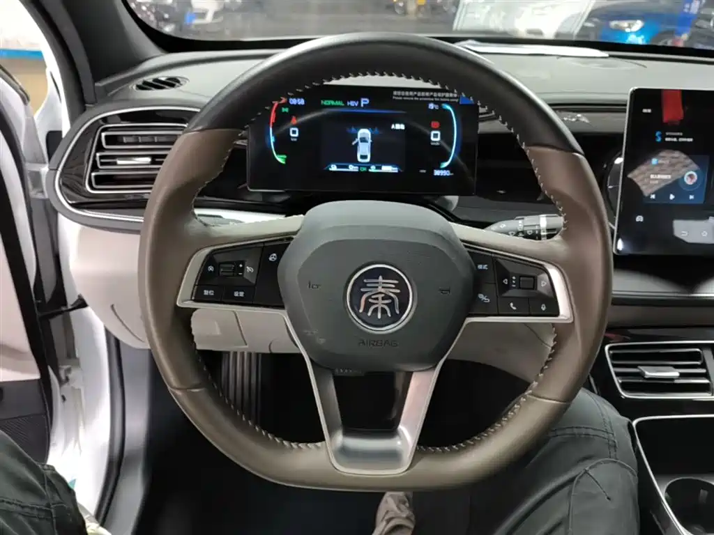 BYD Qin PLUS 2024 — фото 11