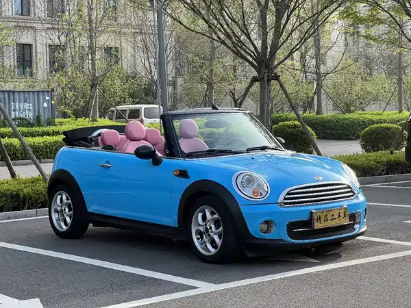 MINI 2012