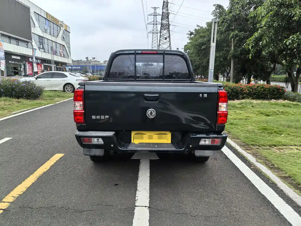 Dongfeng Ruiqi 2018