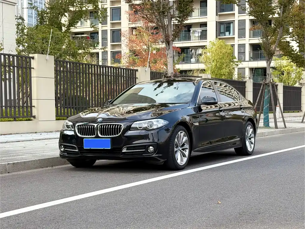 BMW 5 Series 2017 — фото 1