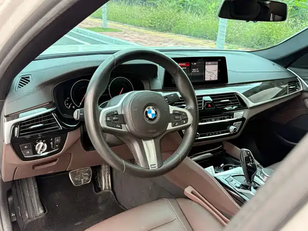 BMW 5 Series 2019