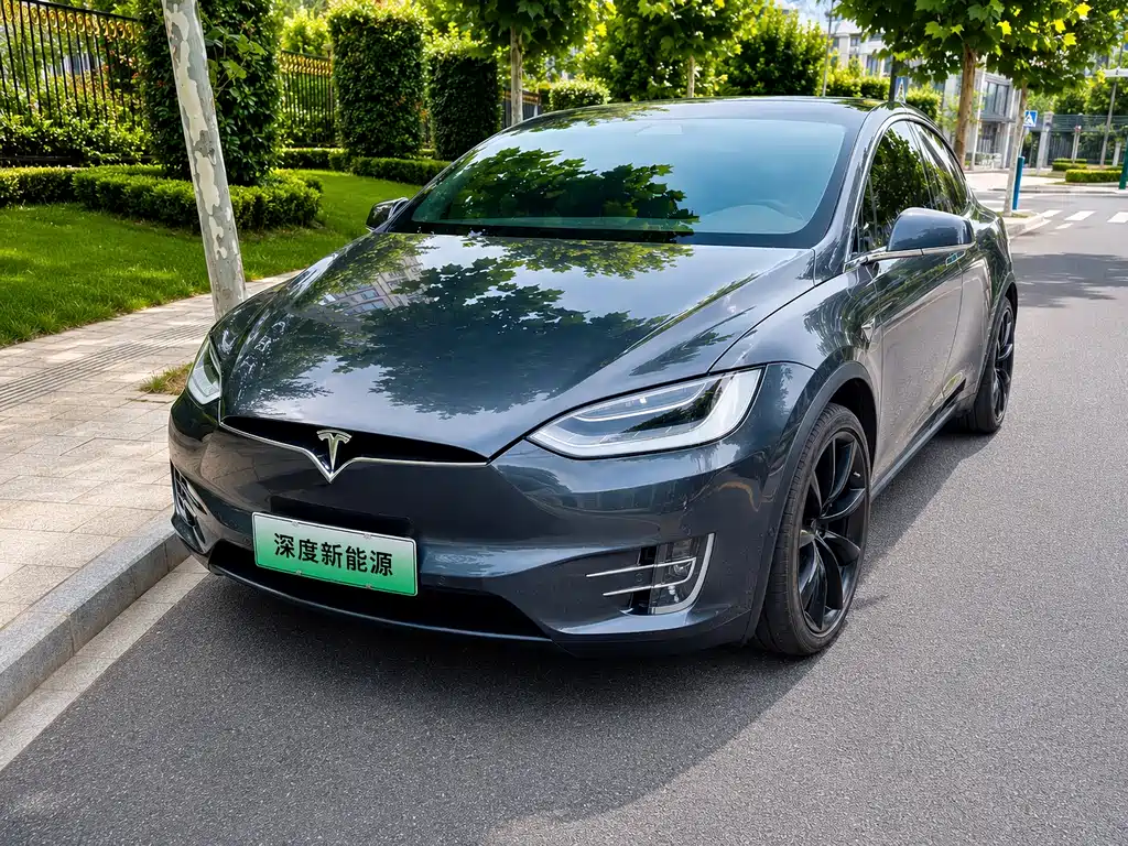 Tesla Model X 2019 — фото 1