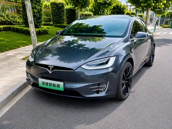 Tesla Model X 2019