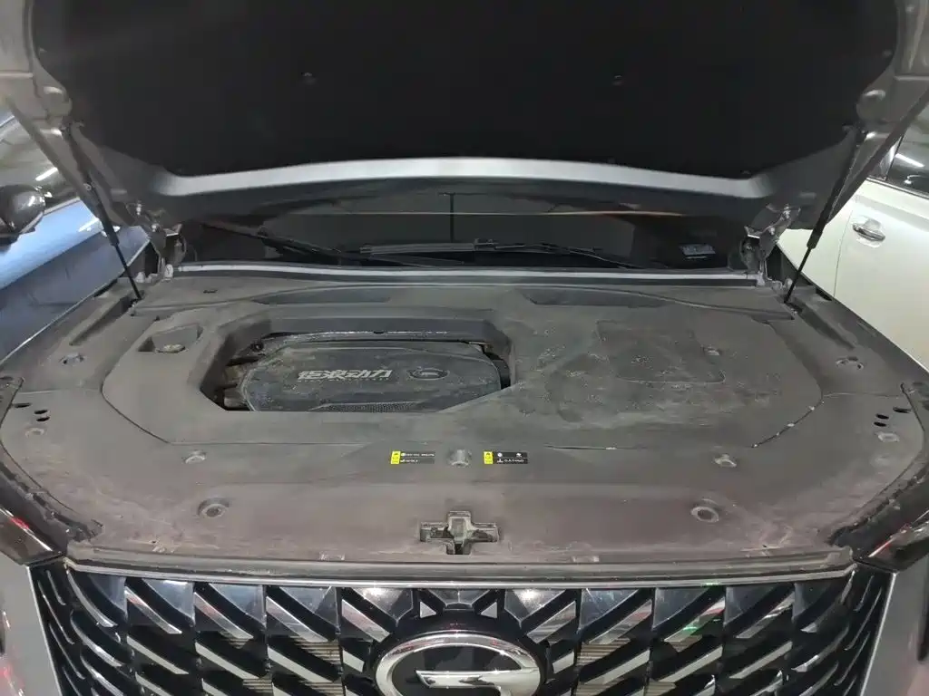 GAC Trumpchi GS8 2022 — фото 21