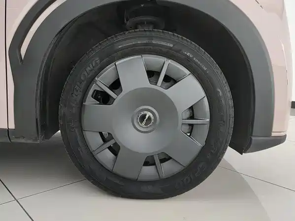 BYD Seagull 2024
