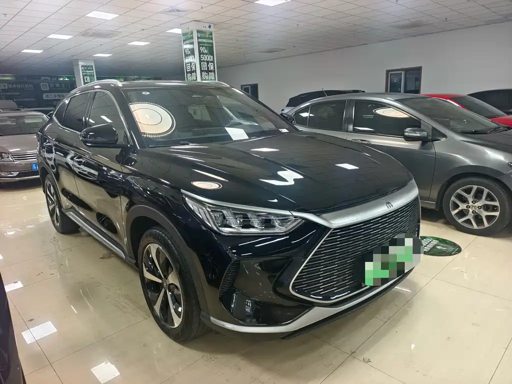 BYD PLUS New Energy 2023 — фото 2