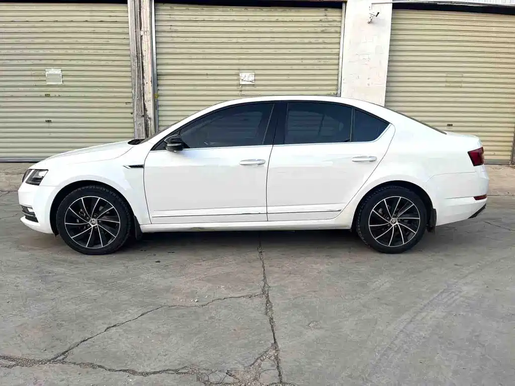 Skoda Octavia 2019 — фото 10